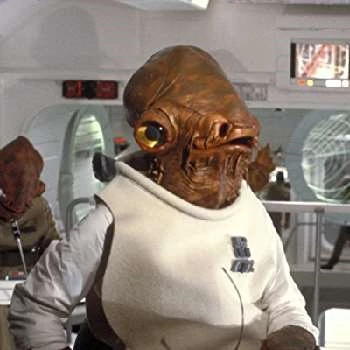 Tim Rose - Income, Birthday, Family, Bio, Networth & More