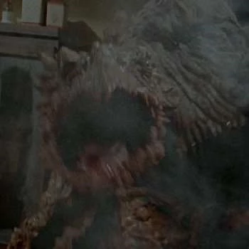 Tim Rykert - Age, Bio, Birthdate, Family, Networth & More