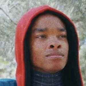 Miles Tiziu - Income, Birthday, Family, Bio, Networth & More