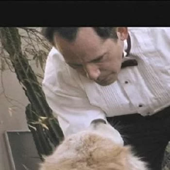 Tobe Sexton - Biography, Birthdate, Family, Networth & More