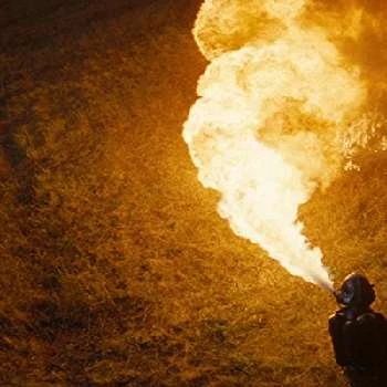 Tom Williams - Age, Bio, Birthdate, Family, Networth & More