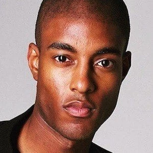 Stefan-Pierre Tomlin Biography