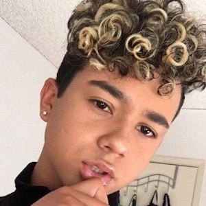 Damn Tommy - Biography, Birthdate, Family, Networth & More