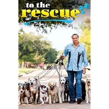 Tommy Habeeb - Age, Bio, Birthdate, Family, Networth & More