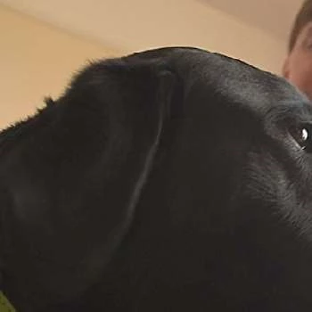 Toni Brown-Griffin - Age, Bio, Birthdate, Family, Networth & More