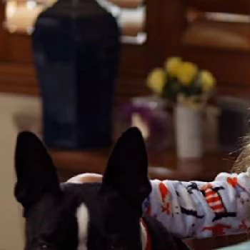 Torpedo - Age, Bio, Birthdate, Family, Networth & More