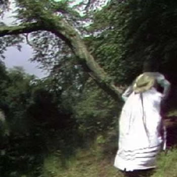 Tracey Childs - Birthplace, Bio, Wiki, Birthday, Family, Networth & More