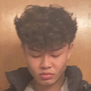 Derek Tran - Income, Birthday, Family, Bio, Networth & More