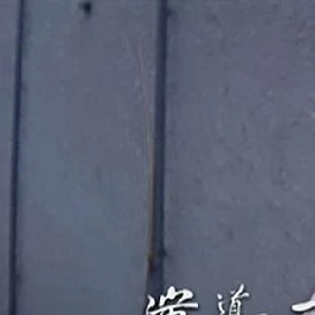 Tun-Fei Mou - Date Of Birth, Bio, Birthdate, Parents, Networth & More