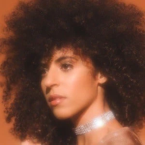 Gavin Turek Biography