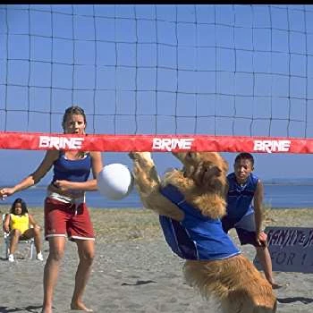 Tyler Boissonnault - Age, Bio, Birthdate, Family, Networth & More