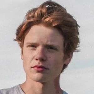 Ben Ulmer - Profession, Biography, Birthdate, Family, Wiki & More