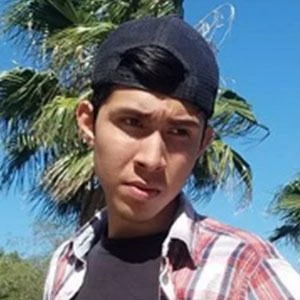 Dani Universe - Income, Birthday, Family, Bio, Networth & More