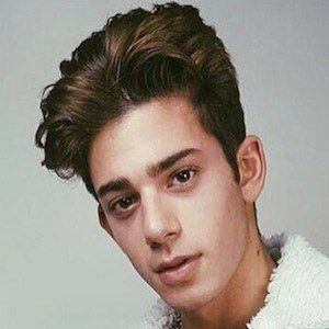 Luca Valenti - Age, WIki, Birthday, Family, Networth & More