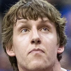 Jan Vesely Biography