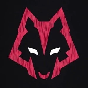 Viction - Family, Bio, Birthday, Family, Income & More