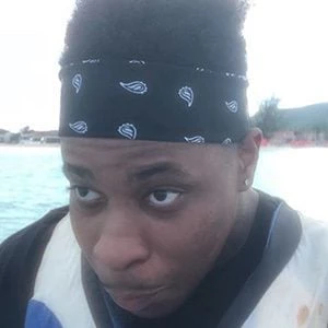 VictionaryHD Biography