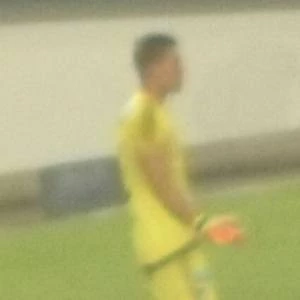 Nico Vikonis - Biography, Birthdate, Family, Networth & More