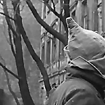 Viktor Perevalov - Income, Birthday, Family, Bio, Networth & More