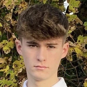 Ethan Vine - Wiki, Bio, Networth, Birthdate, Family & More