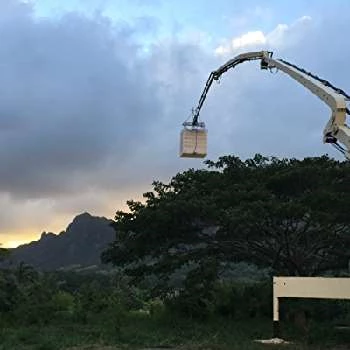 Walter Bithell - Age, Bio, Birthdate, Family, Networth & More