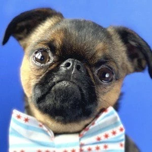 Walter the Griff - Wiki, Bio, Networth, Birthdate, Family & More