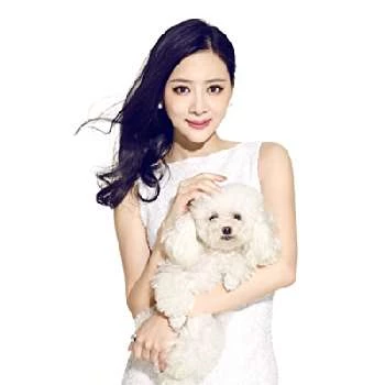 Wenting Sun - Biography, Birthday, Family, Wki, Networth & More