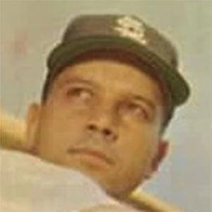 Vic Wertz - Adderess, Bio, Birthdate, Family, Wiki & More