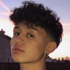 Brandon Westenberg - Profession, Biography, Birthdate, Family, Wiki & More