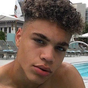 Brian Whittaker Biography