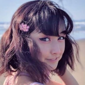 whois.gracie - Wiki, Bio, Birthdate, Networth, Family & More