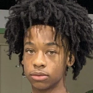 Ashton Williams - Biography, Birthday, Family, Wki, Networth & More