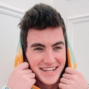 willibed - Age, Bio, Career, Family, Wiki, Networth & More