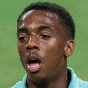 Joe Willock Biography