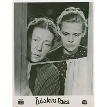 Wilma Malmlöf - Income, Birthday, Family, Bio, Networth & More