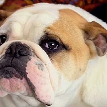 Winston - Age, Bio, Birthdate, Family, Networth & More