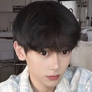 Yos Wiranata - Profession, Biography, Birthdate, Family, Wiki & More