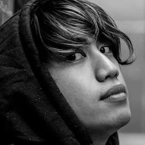 Steve Ronin - Age, Wiki, Birthdate, Bio, Networth, Family & More