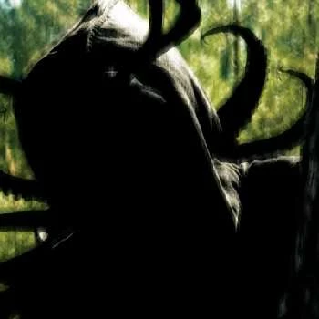 Wolfanger Ribeiro - Age, Bio, Birthdate, Family, Networth & More