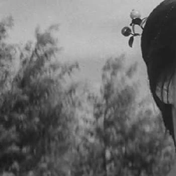 Yaeko Mizutani - Age, Bio, Birthdate, Family, Networth & More