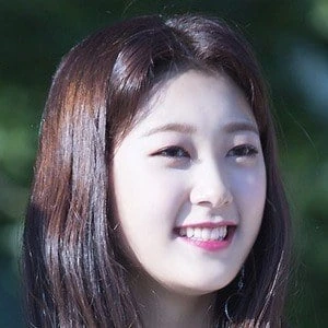 Choerry - Family, Bio, Birthday, Family, Income & More