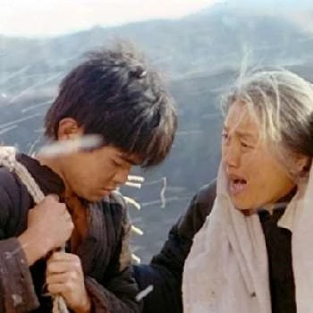 Yi Ding - Age, Bio, Birthdate, Family, Networth & More