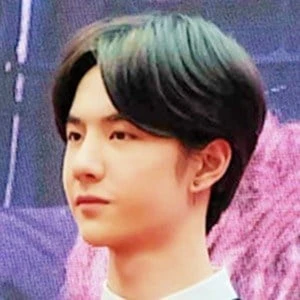 Wang Yibo Biography