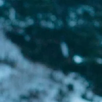 Yolande Simard Perrault - Age, Bio, Birthdate, Family, Networth & More