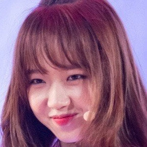 Choi Yoo-jung Biography