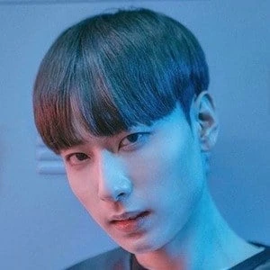 Park Young Jin - Biography, Birthdate, Family, Networth & More