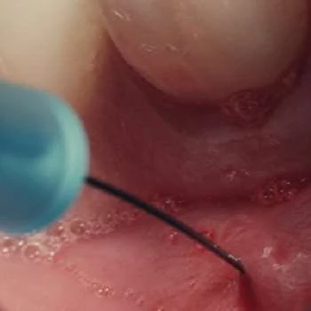 Zoe Karpeta - Age, Bio, Birthdate, Family, Networth & More