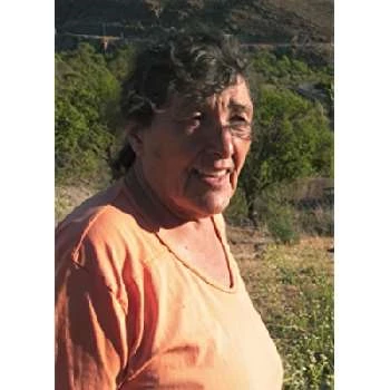 Zoila Quiroz - Age, Bio, Birthdate, Family, Networth & More